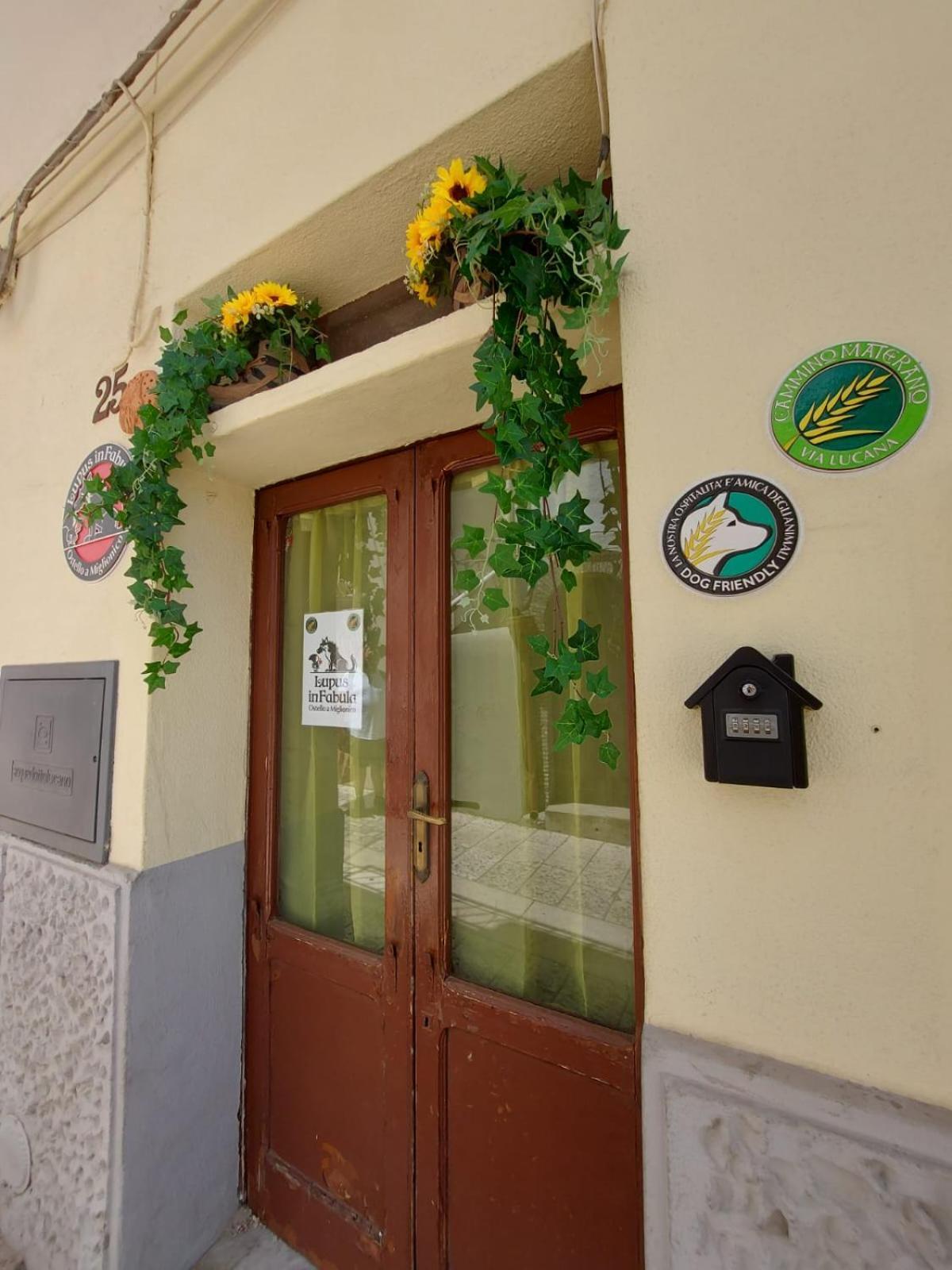 Lupus In Fabula Hostel Miglionico Екстериор снимка